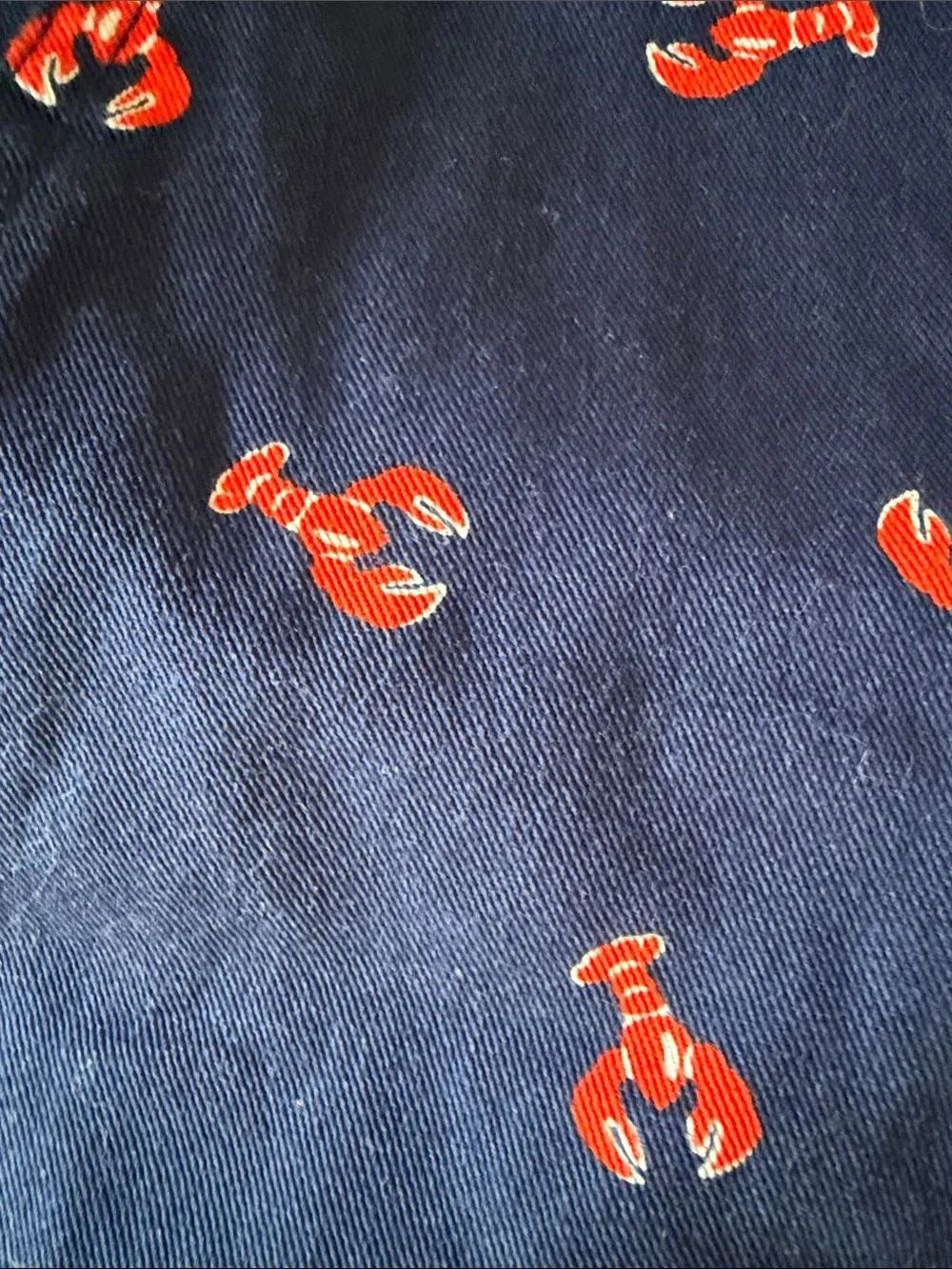 J. Crew Men's Navy Shorts with Red Lobster Print